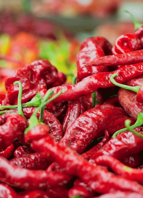 Jimmy Nardello's Pepper – 25 Seeds