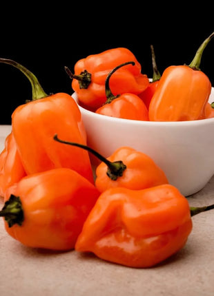 Orange Habanero Pepper – 30 Seeds