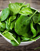 Bloomsdale Spinach – 150 Seeds