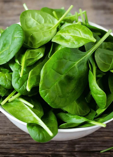 Bloomsdale Spinach – 150 Seeds