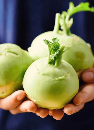 Early White Vienna Kohlrabi – 100 Seeds