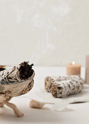 White Sage – 50 Seeds