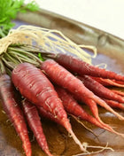 Atomic Red Carrot – 250 Seeds
