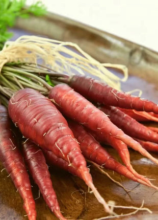 Atomic Red Carrot – 250 Seeds
