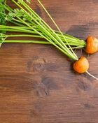 Parisian Carrot – 250 Seeds