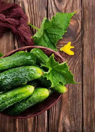 Pioneer Cucumber – 30 Seeds