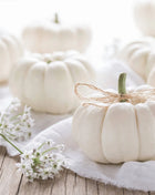 Gooligan Pumpkin – 10 Seeds