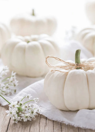 Gooligan Pumpkin – 10 Seeds