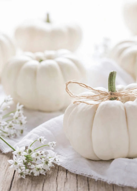 Gooligan Pumpkin – 10 Seeds