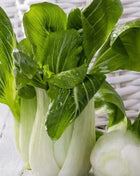 Canton Pak Choi – 100 Seeds