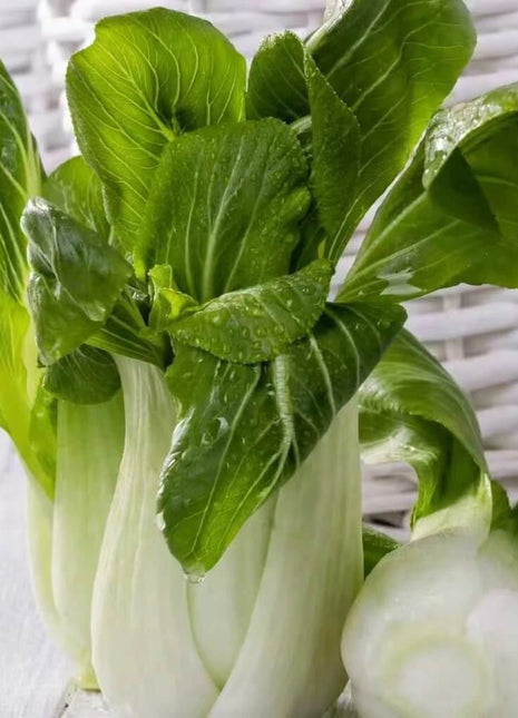 Canton Pak Choi – 100 Seeds