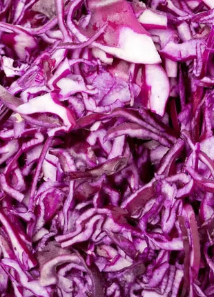Mammoth Red Rock Cabbage – 100 Seeds