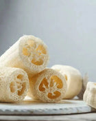 Luffa Gourd – 20 Seeds
