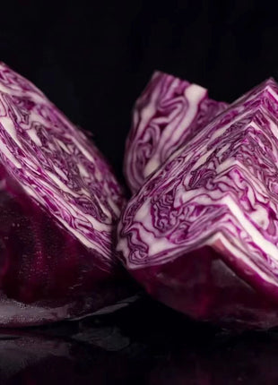 Mammoth Red Rock Cabbage – 100 Seeds