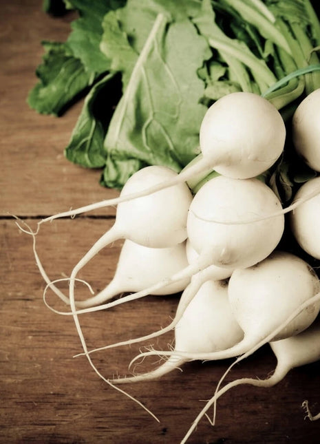 Hailstone Radish – 100 Seeds