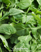 Roquette Arugula – 200 Seeds