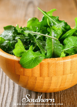 Roquette Arugula – 200 Seeds