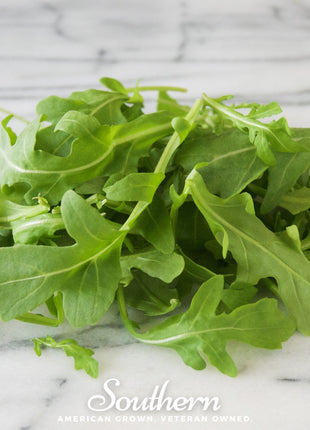 Wild Arugula – 500 Seeds