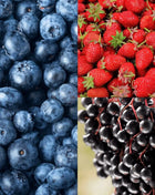 Berry Seed Collection (Elderberry • Blueberry • Strawberry)