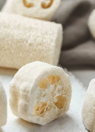 Luffa Gourd – 20 Seeds