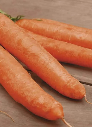 Little Finger Carrot – 250 Seeds