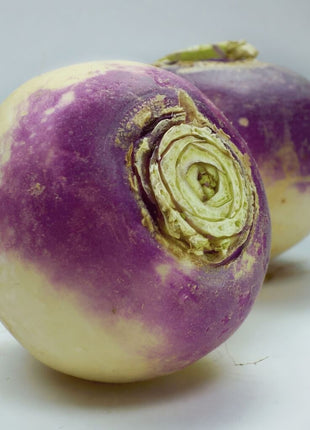 American Purple Top Rutabaga – 200 Seeds