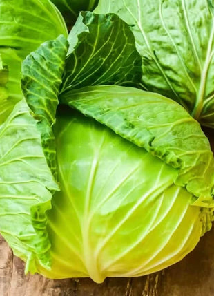 Brunswick Cabbage – 100 Seeds