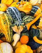 Large Gourd Mix – 20 Seeds