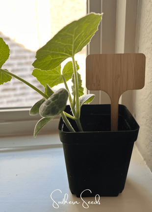 Bamboo Plant Markers – 5 Count