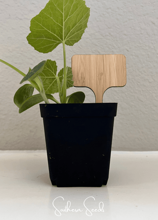 Bamboo Plant Markers – 5 Count