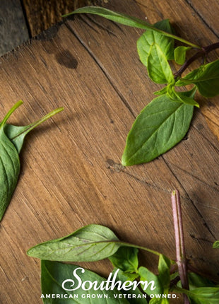Licorice Basil – 250 Seeds