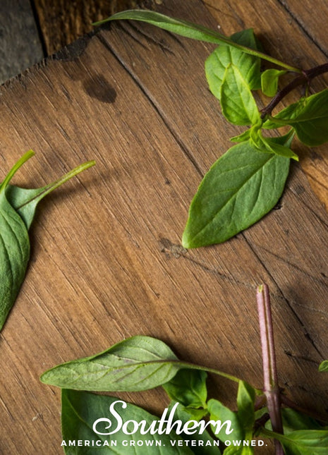 Licorice Basil – 250 Seeds