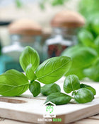 Sweet Basil – 250 Seeds