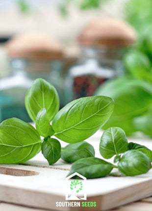 Sweet Basil – 250 Seeds
