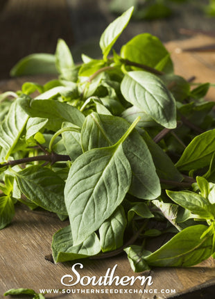 Thai Siam Queen Basil – 250 Seeds