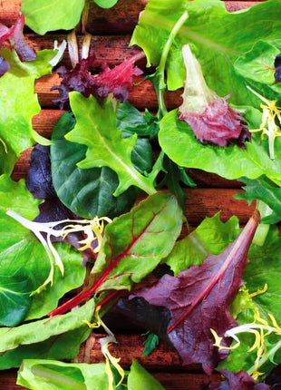 Gourmet Mix Lettuce – 500 Seeds