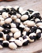 Calypso Orca Bean (Bush) – 25 Seeds