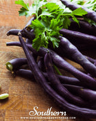 Royal Burgundy Bean (Bush) – 50 Seeds