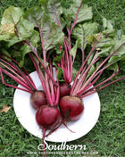 Crosby’s Egyptian Beet – 100 Seeds