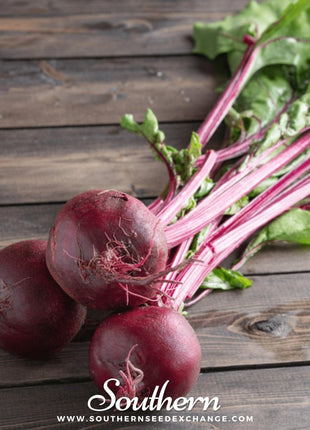 Crosby’s Egyptian Beet – 100 Seeds