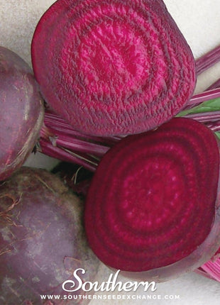 Crosby’s Egyptian Beet – 100 Seeds