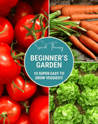 Beginner Vegetable Seed Collection – 10 Varieties