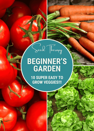 Beginner Vegetable Seed Collection – 10 Varieties