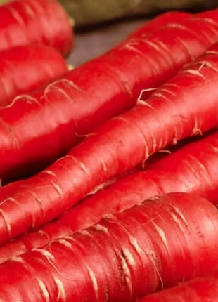 Atomic Red Carrot – 250 Seeds
