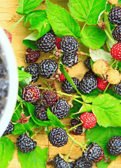 Black Raspberry – 30 Seeds