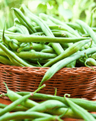 Blue Lake Bean (Pole) – 50 Seeds