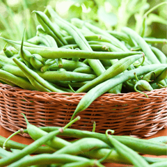 Collection image for: Beans