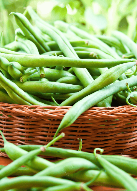 Blue Lake Bean (Pole) – 50 Seeds
