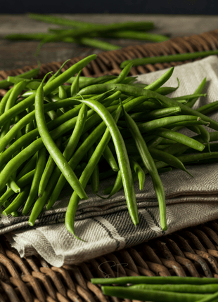 Blue Lake Bean (Pole) – 50 Seeds