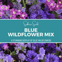 Collection image for: Wildflower Mixes